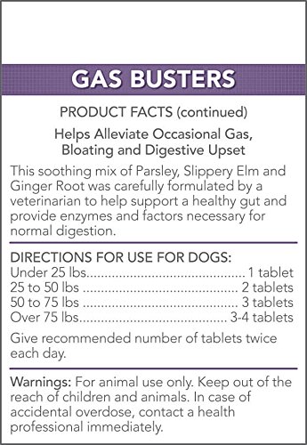 how to relieve stomach gas in dogs